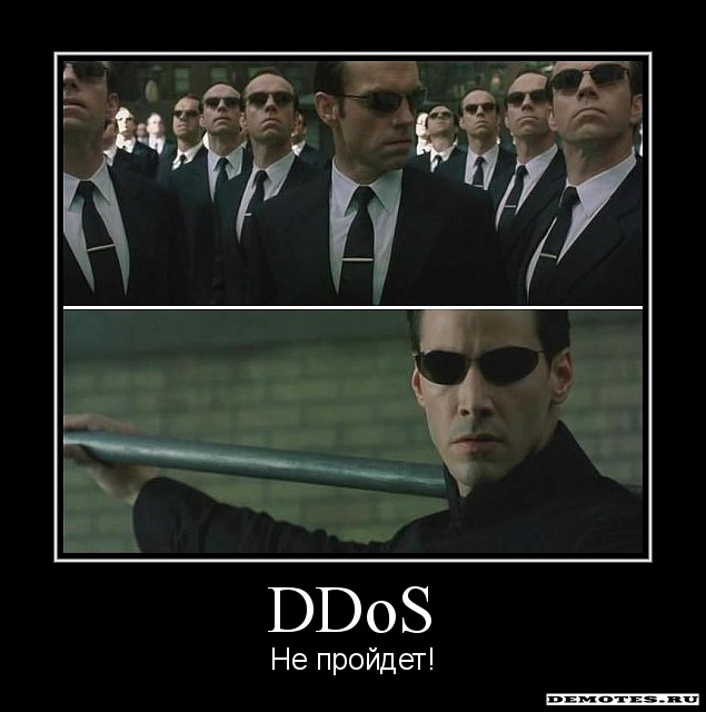 DDoS -  !